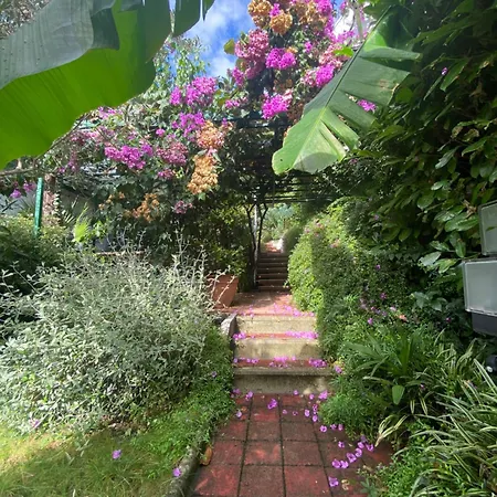 Sunny Garden Abbázia