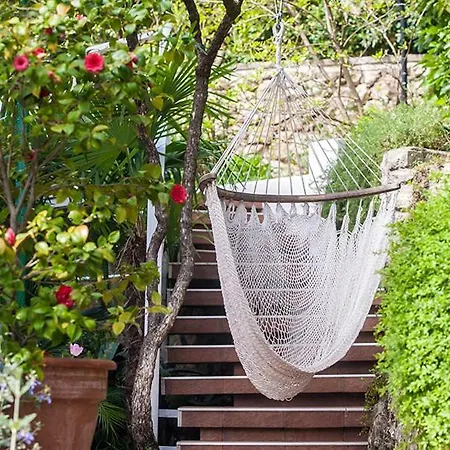 Sunny Garden *