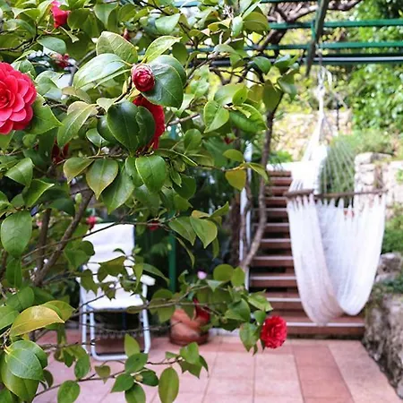 Apartment Sunny Garden *