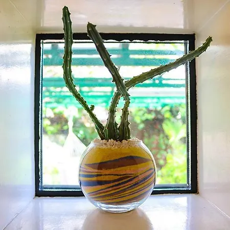 Sunny Garden 公寓 奥帕提亚