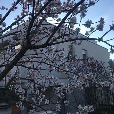 Apartman Sunny Garden Abbázia