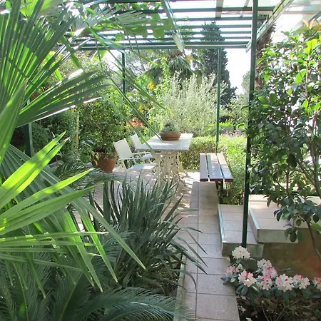 Sunny Garden