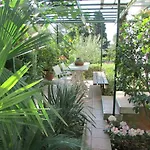 Sunny Garden