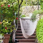 Sunny Garden *