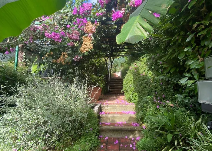 Sunny Garden オパティヤ