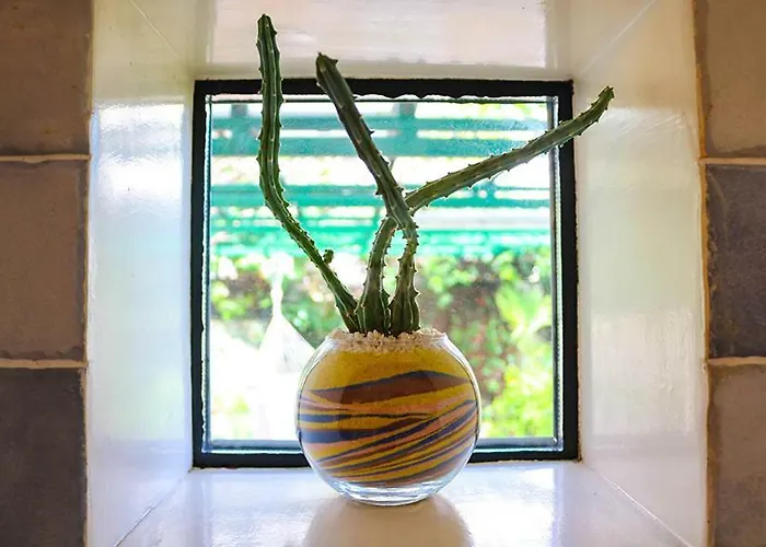 Sunny Garden アパート オパティヤ